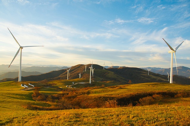 Fjernvarme og miljø: Hvordan vedligeholdelse reducerer co2-aftrykket